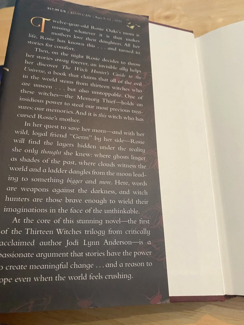 Thirteen Witches: The Memory Thief - Jodi Lynn Anderson Hardcover Book